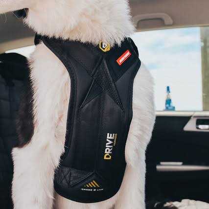 Dog Car Harness A8587