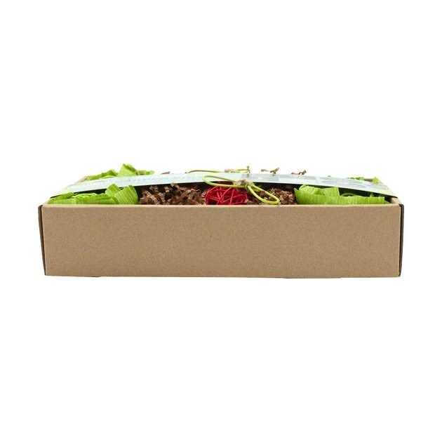 Garden Dig Box Q28673