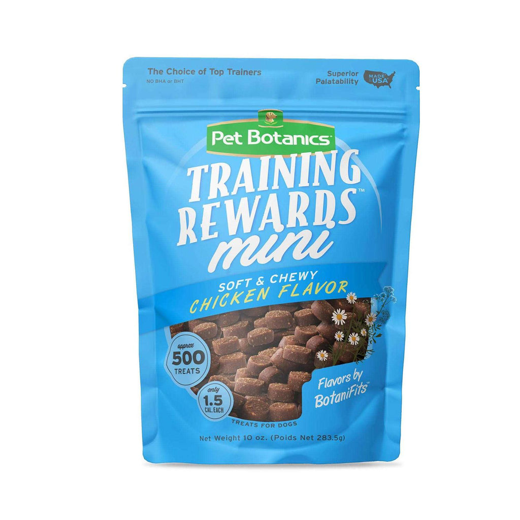 Mini Training Dog M800