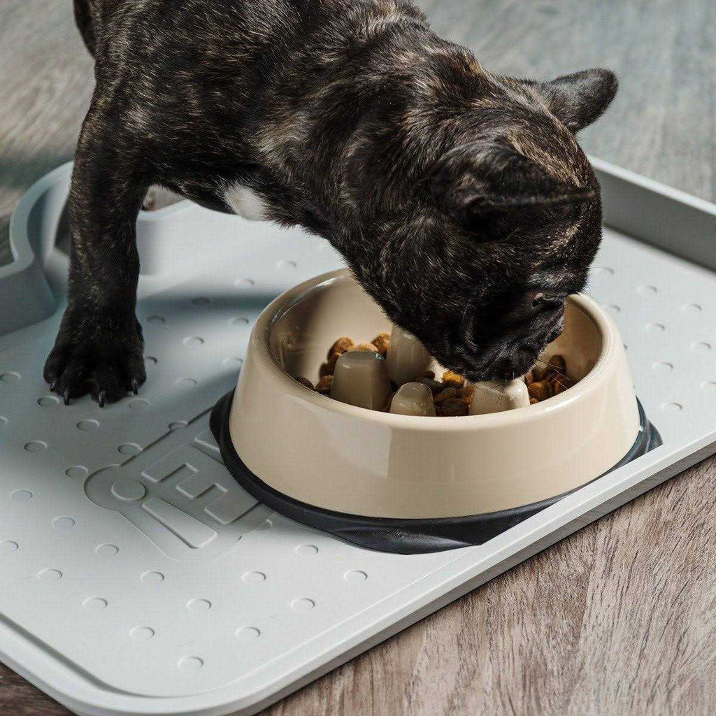 Slow Feeding Bowl for Short Snouted Pets Q98947