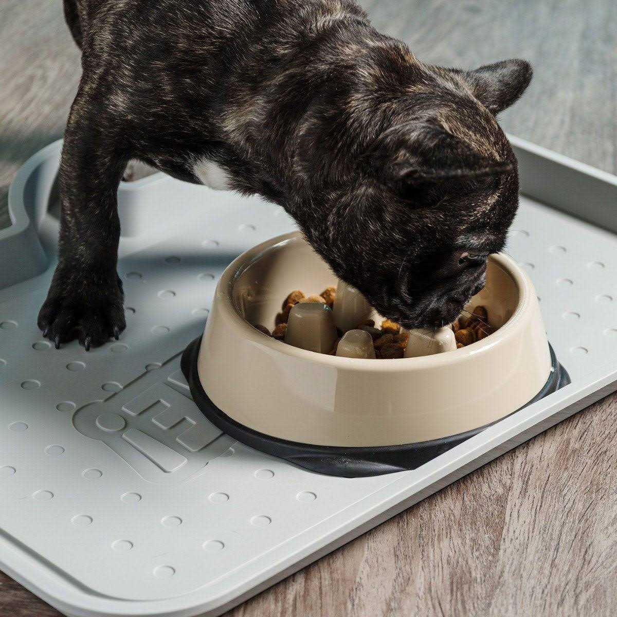 Slow Feeding Bowl for Short Snouted Pets Q98947