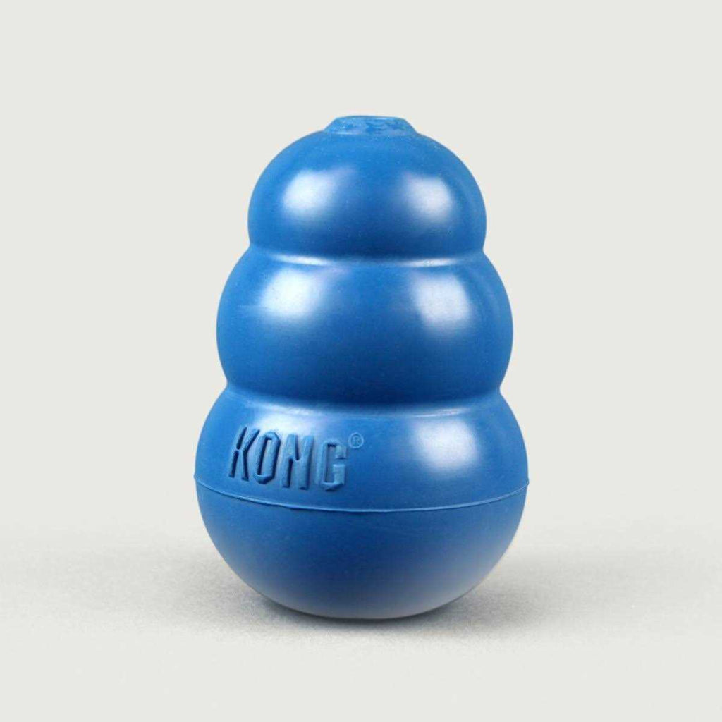 Blue Dog Toy A1149