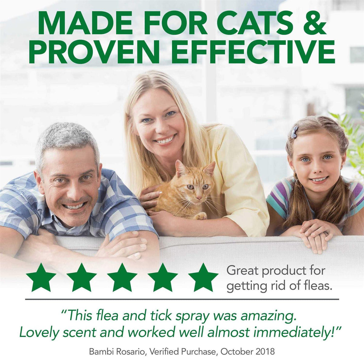 Flea Tick Home Spray X34582