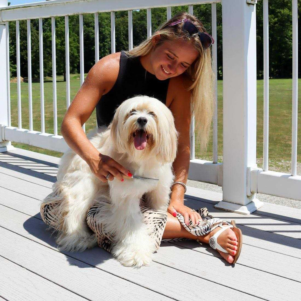 Dog Shedding Comb E7174