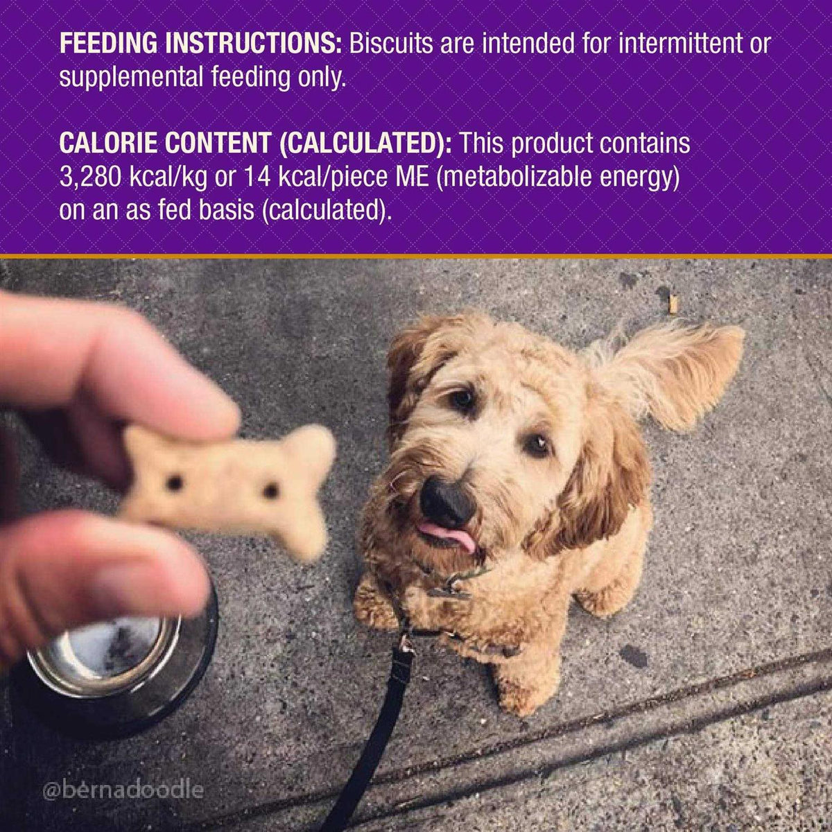 P-Nuttier Dog Treats W8250