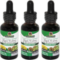 Black Walnut and Wormwood Value Pack of 3 V4720