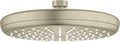 8 Inch Chrome Showerhead T125