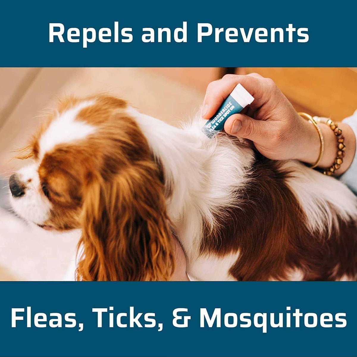Flea & Tick Spot On for Dogs A196