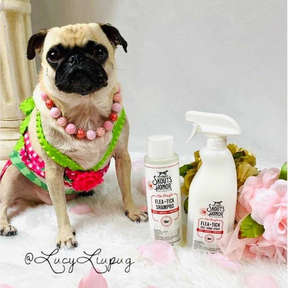 Flea & Tick Shampoo Q945709