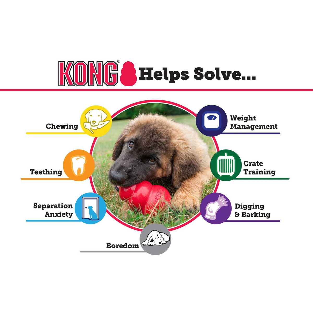 KONG Dog Toy R842519