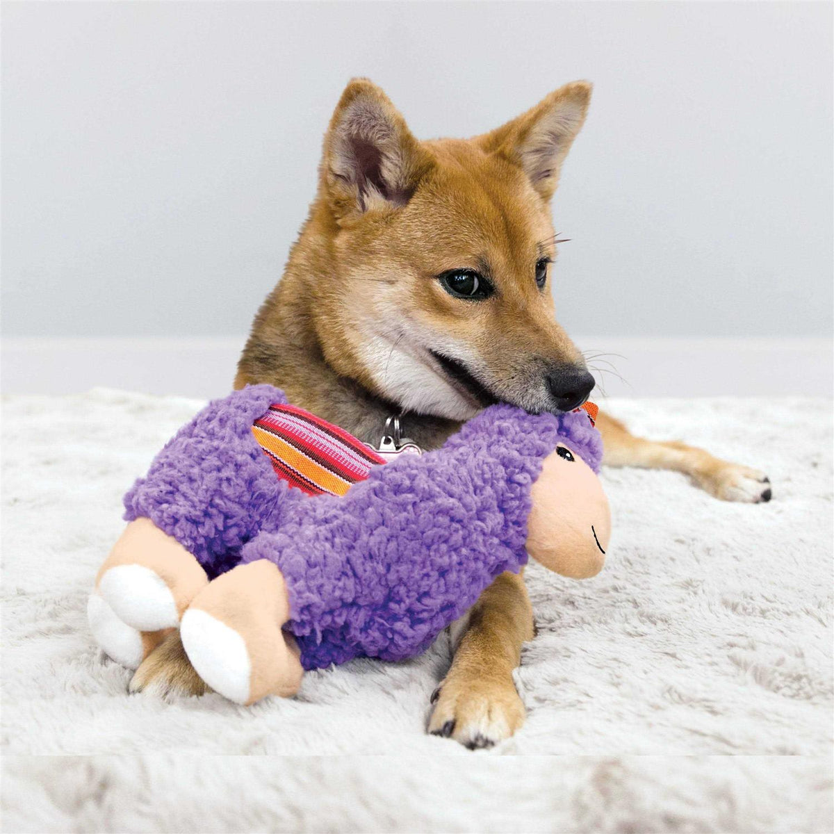 Dog Toy Medium E440