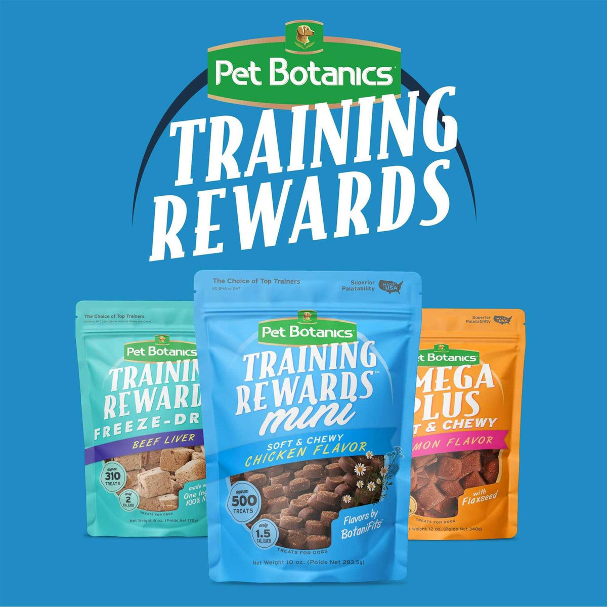 Mini Training Dog M800