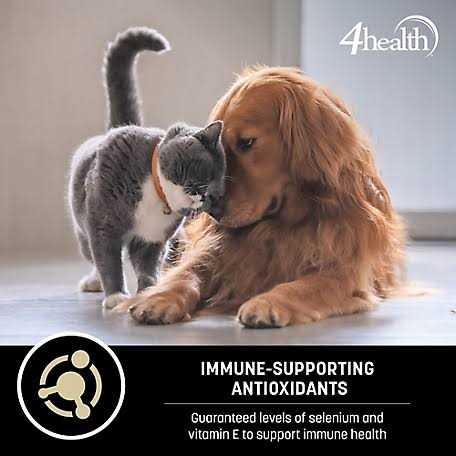 Chicken Formula Dry Dog Food P5353