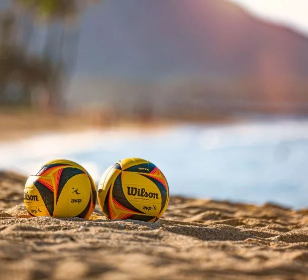 Official Game Volleyball V4333