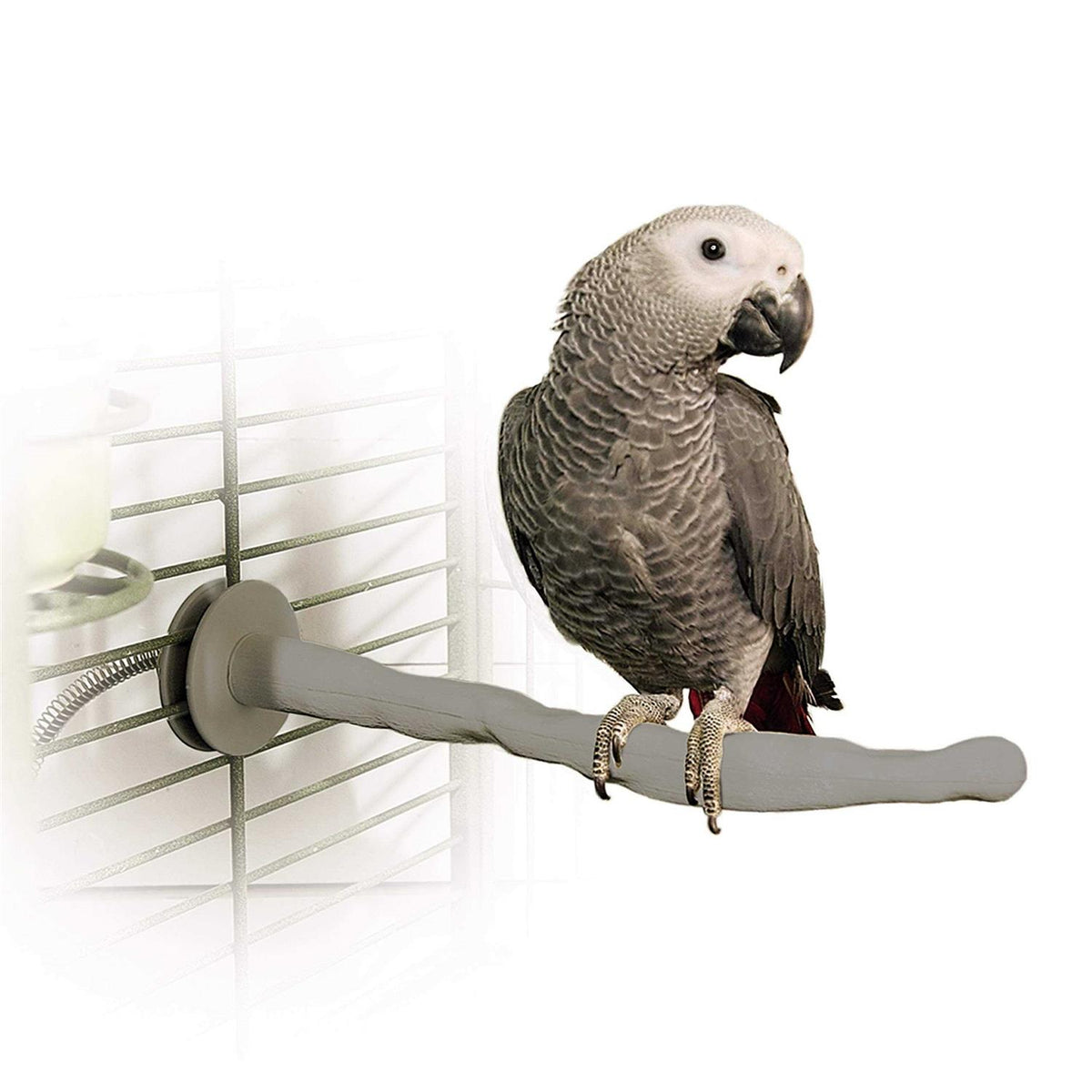 Bird Thermo-Perch Q95936