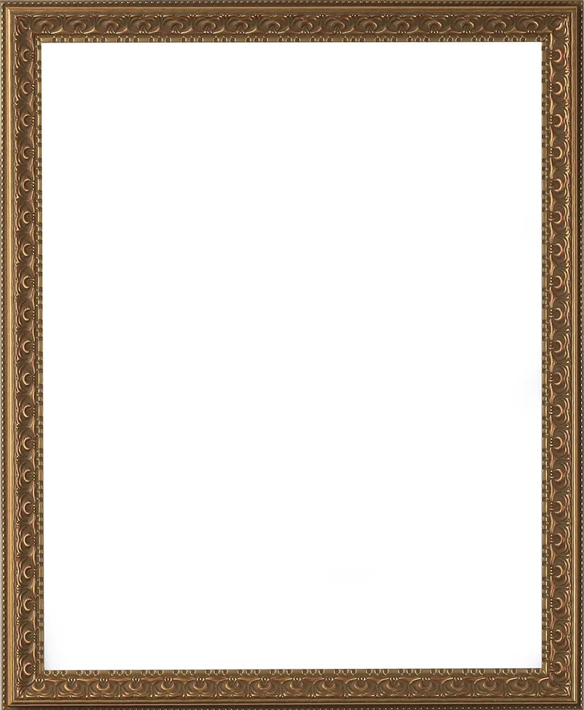 Antique Gold 12x18 Polystyrene Picture Frame H73546