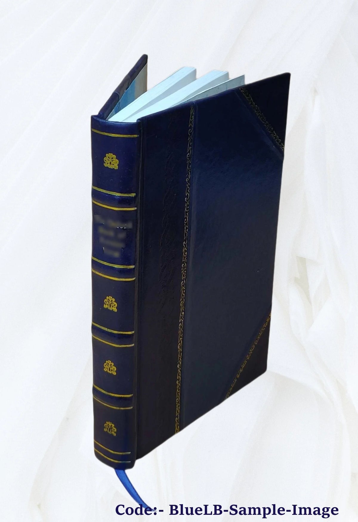 Cavaliers and Roundheads Novel Volume 2 Leather Bound X87261