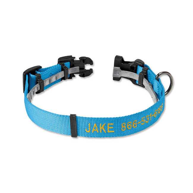 Personalized Flea and Tick Collar Z604