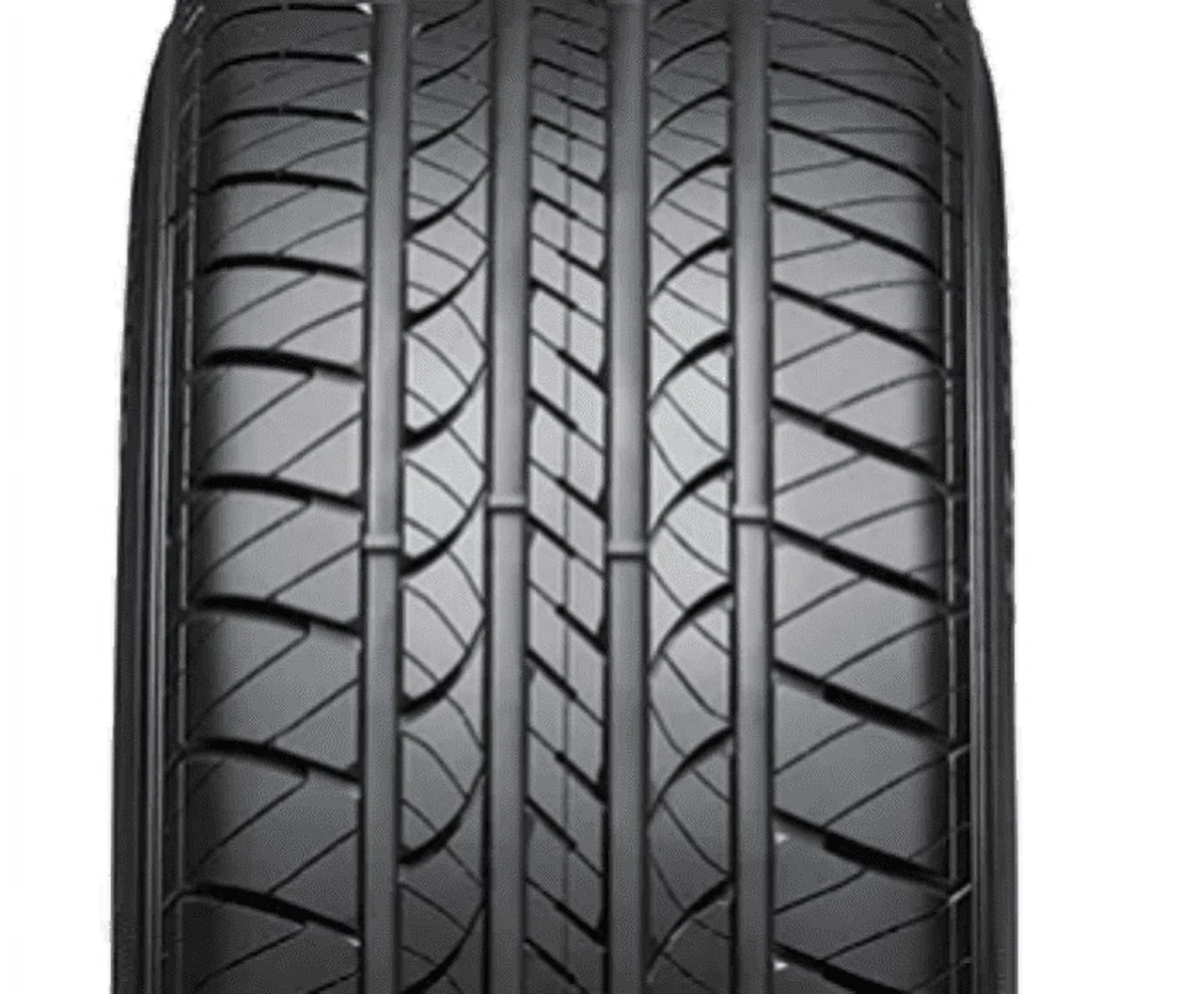 All-Season Tire H4919
