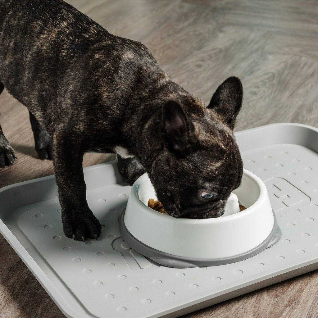 Slow Feeding Bowl for Short Snouted Pets Q98947