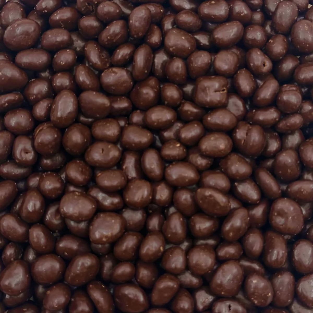 Dark Chocolate Covered Raisins 2-Pound Bag P283