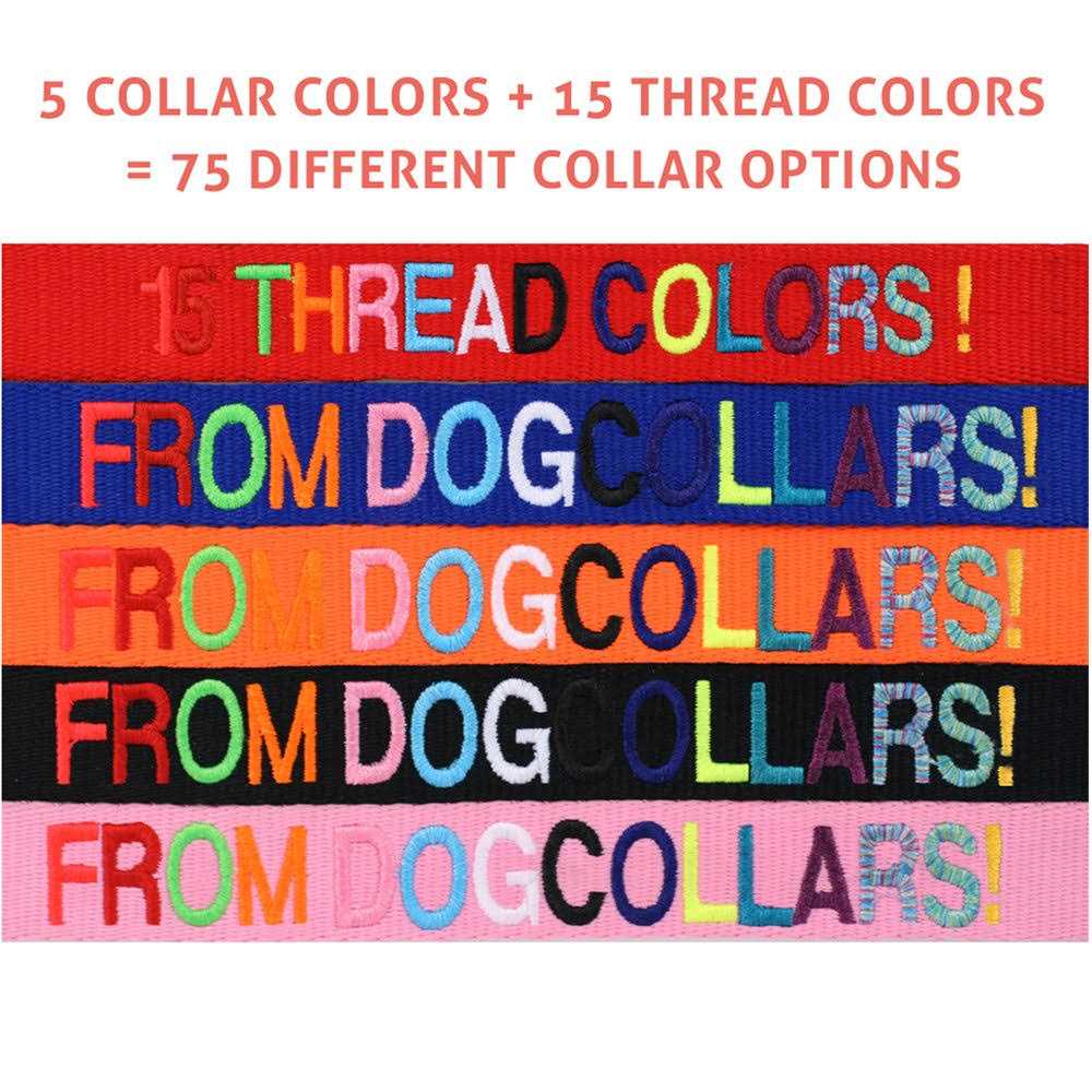 Personalized Dog Collar Y97300