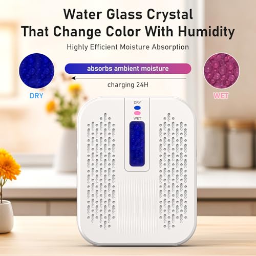 Rechargeable Portable Mini Dehumidifier E9111