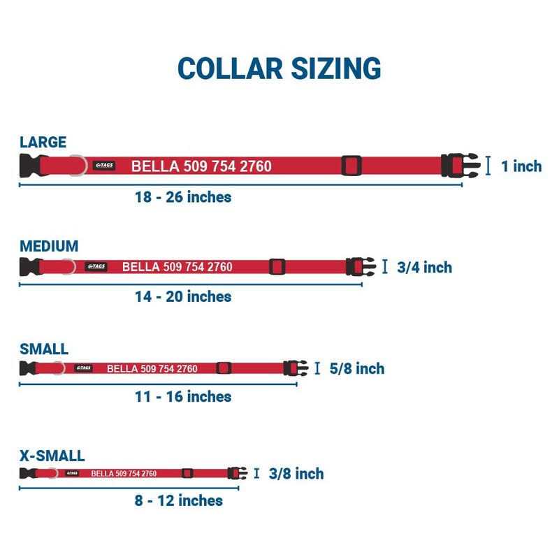 Personalized Dog Collar Y97300