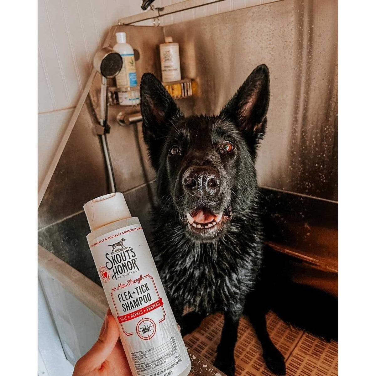 Flea & Tick Shampoo Q945709