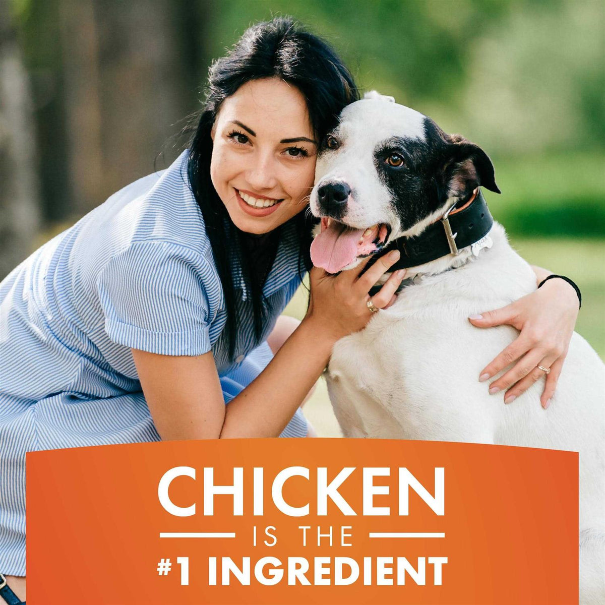 Real Chicken Jerky Dog Treats N675