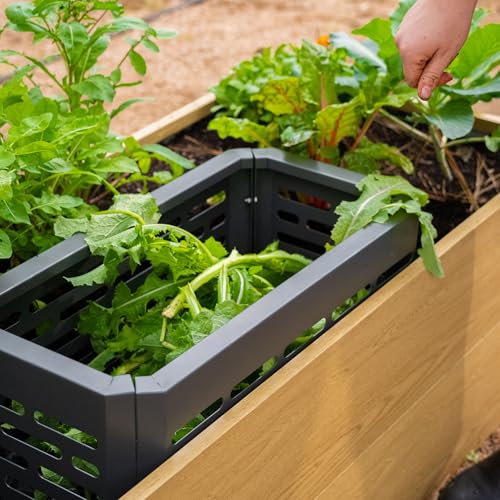 Metal In-Ground Worm Composter T6654