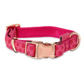Adjustable Dog Collar C426