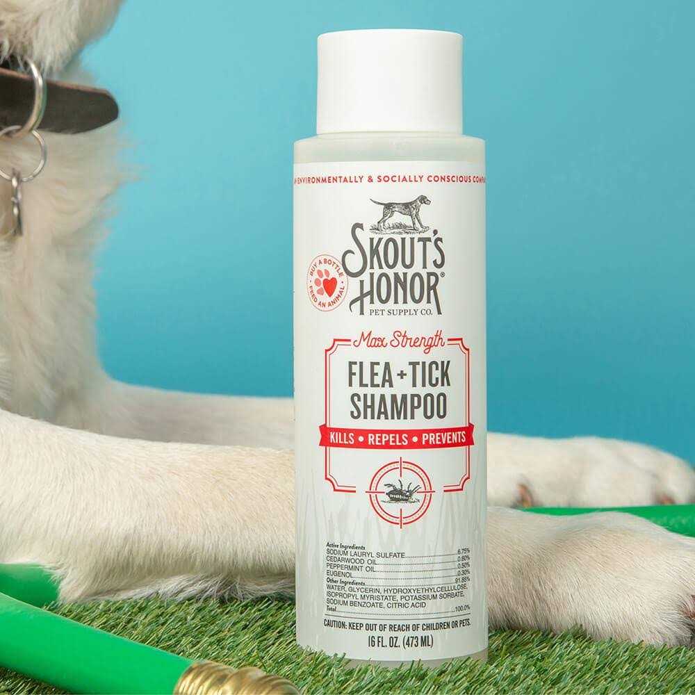 Flea & Tick Shampoo Q945709