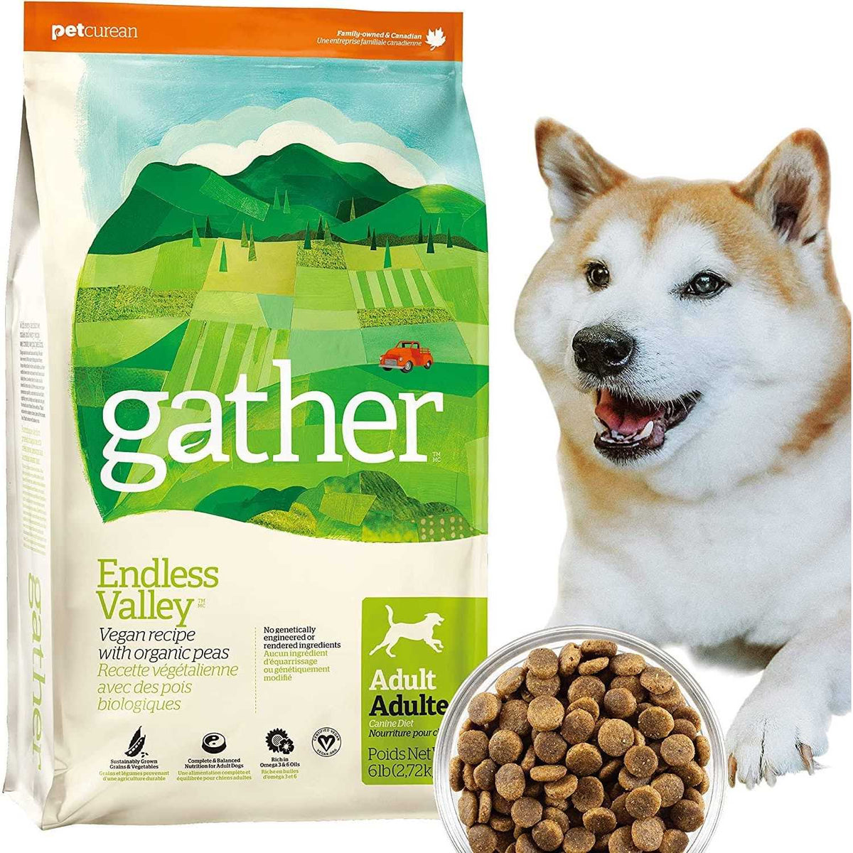 Vegan Recipe with Organic Peas Adult Dry Dog Food Q7476