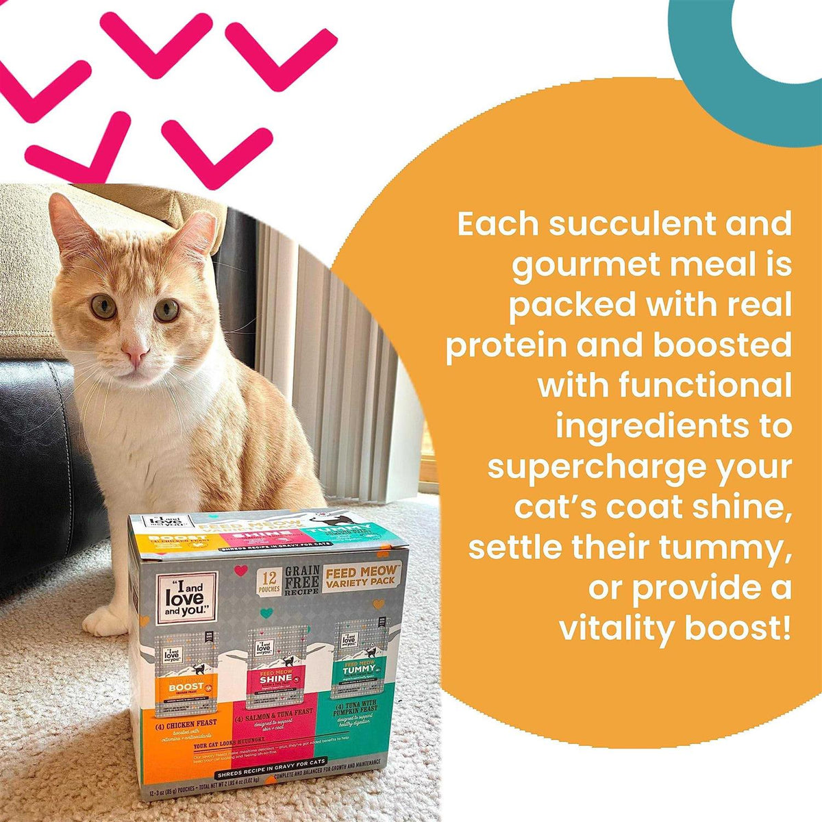Wet Cat Food with Tuna and Pumpkin K311