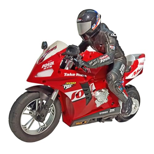 Remote Control Motor, 1/6 RC Two-Wheel Motorcycle Model C38755