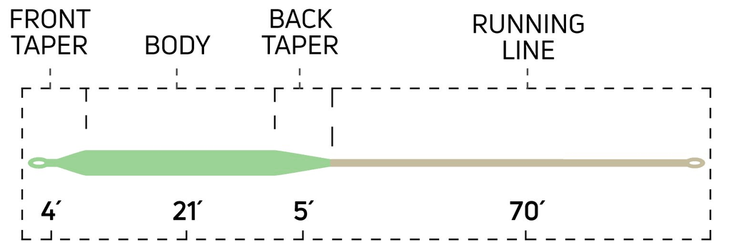 WF7F Cold Salt Fly Line E6061