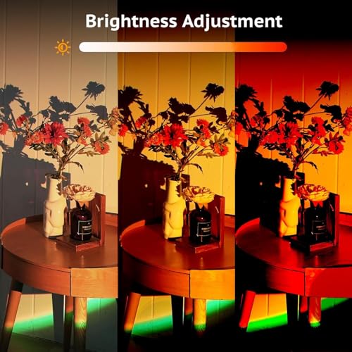 21 Color Changing LED Sunset Lamp Projector B362520