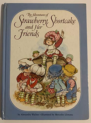 Strawberry Shortcake Hardcover P4205