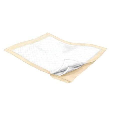 Incontinence Control Underpad 30 inch x 30 Inch, Case of 100 P507573