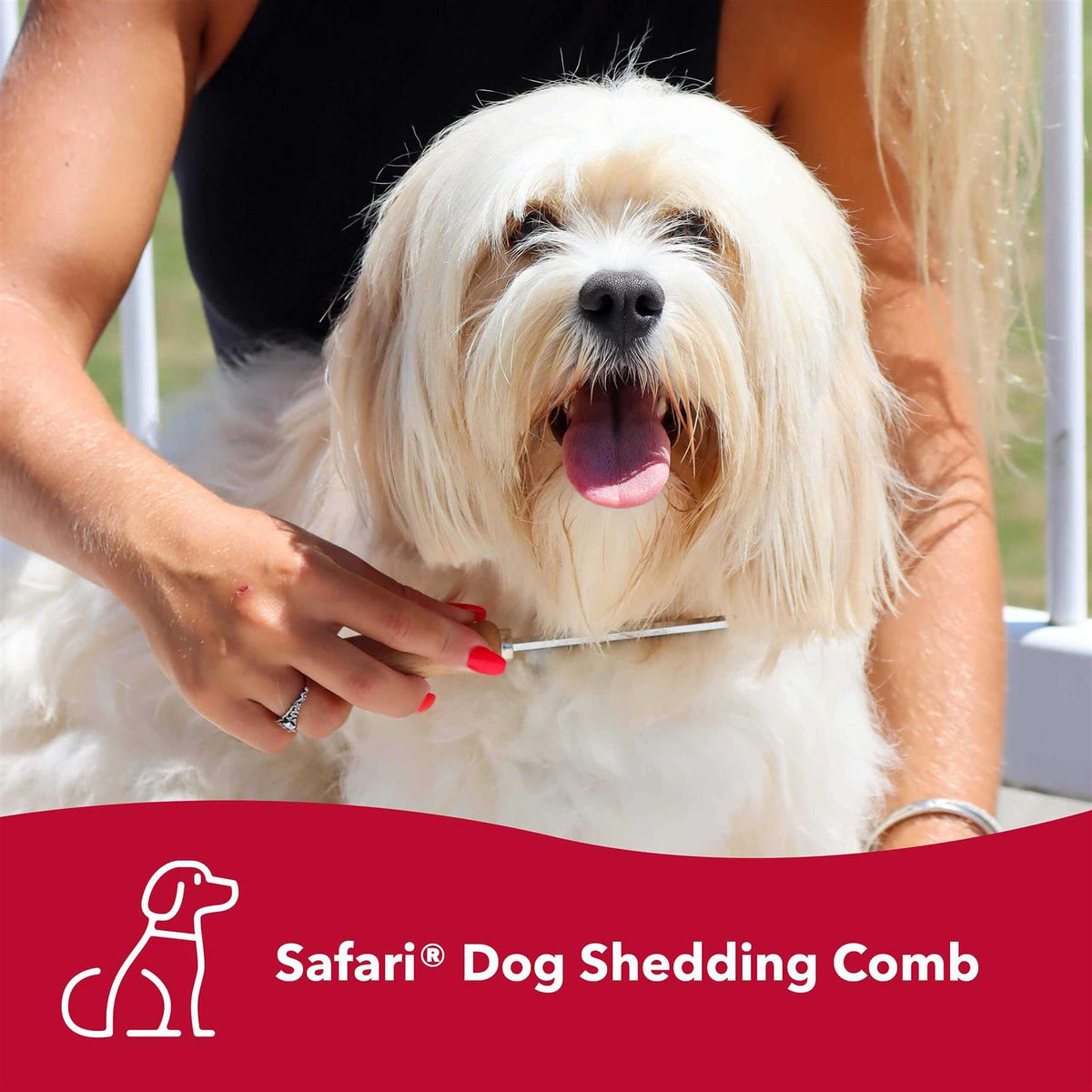 Dog Shedding Comb E7174
