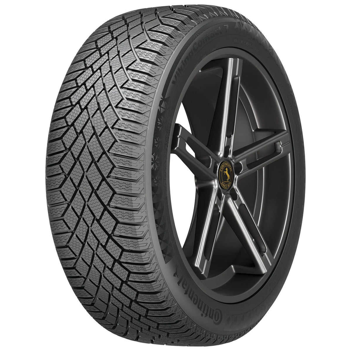 Winter Passenger Tire C400139
