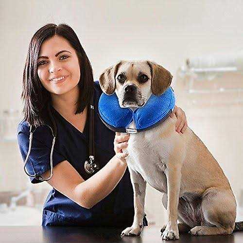 Inflatable Soft Pet Recovery Collar H3983