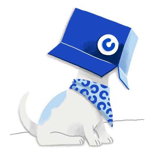 Flea and Tick Treatment for Small Dogs V363
