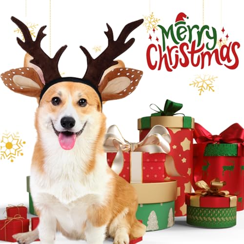 Dog Christmas Reindeer Headband Z71212