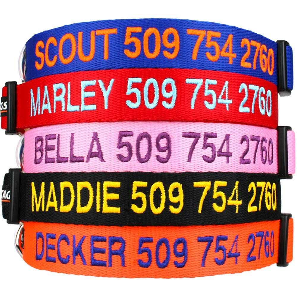 Personalized Dog Collar Y97300