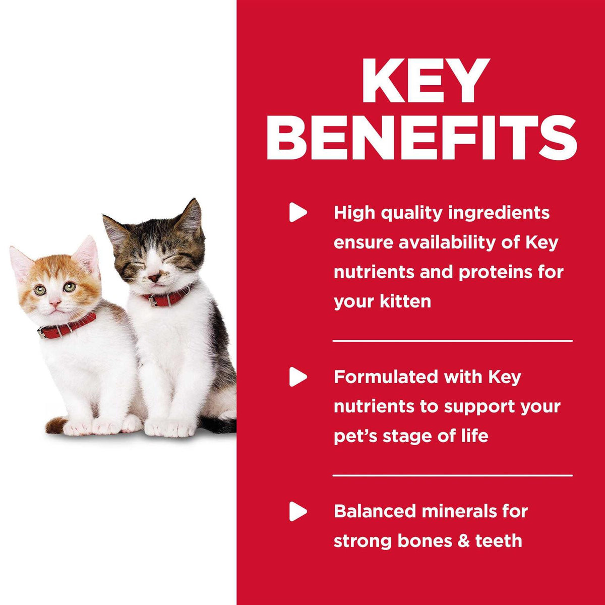 Wet Cat Food B7163