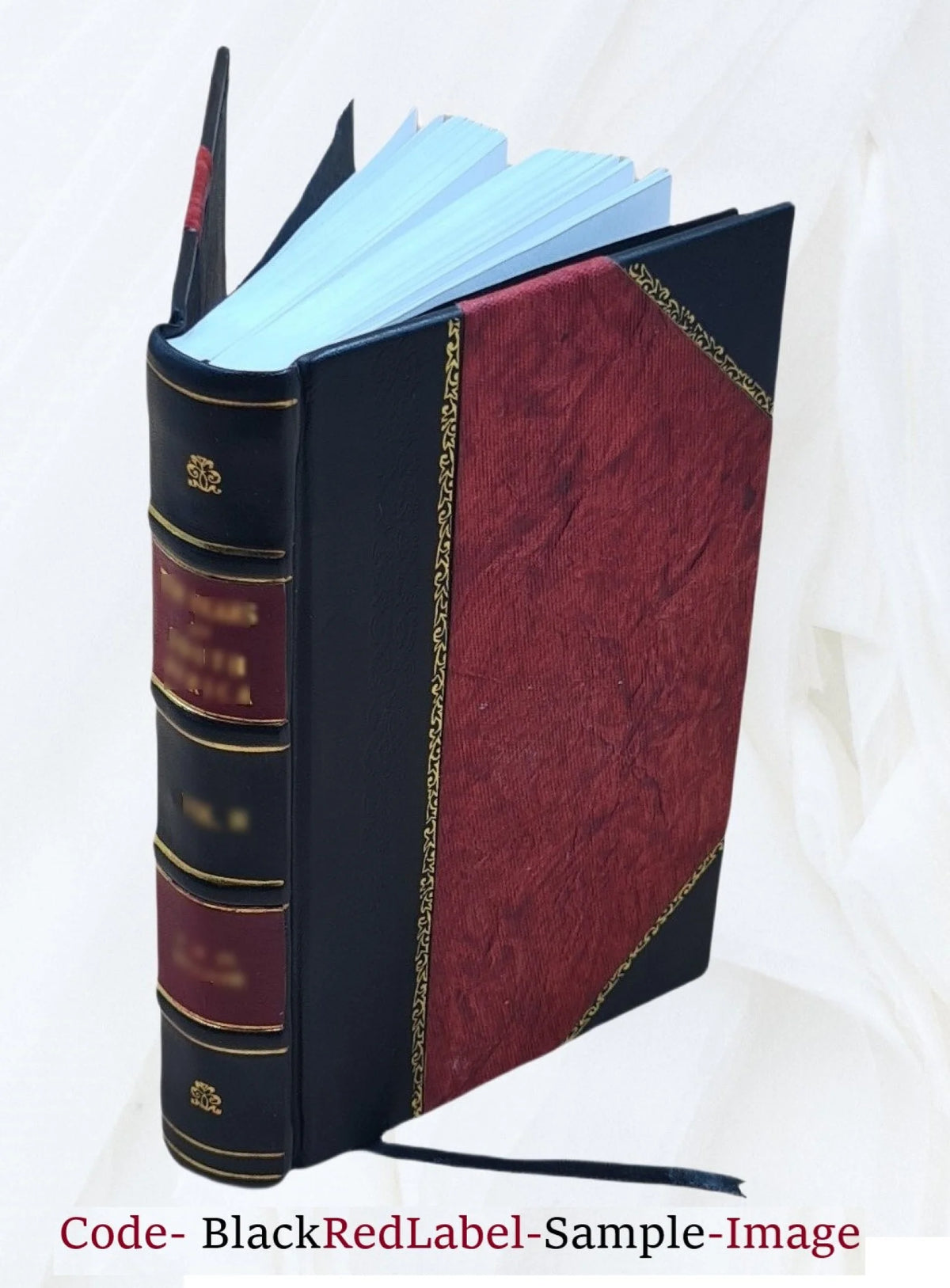 Cavaliers and Roundheads Novel Volume 2 Leather Bound X87261
