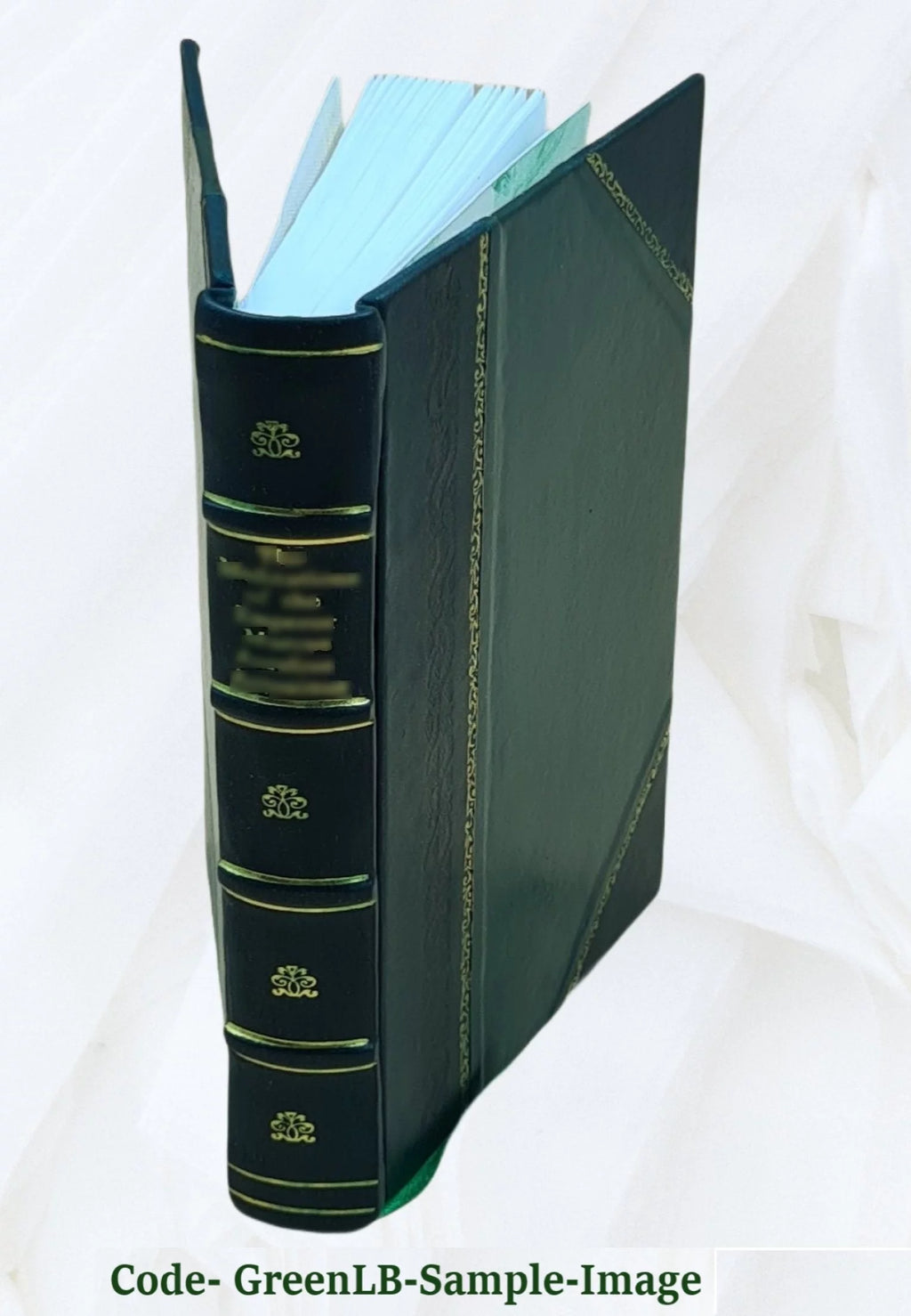 Anthropology W124277