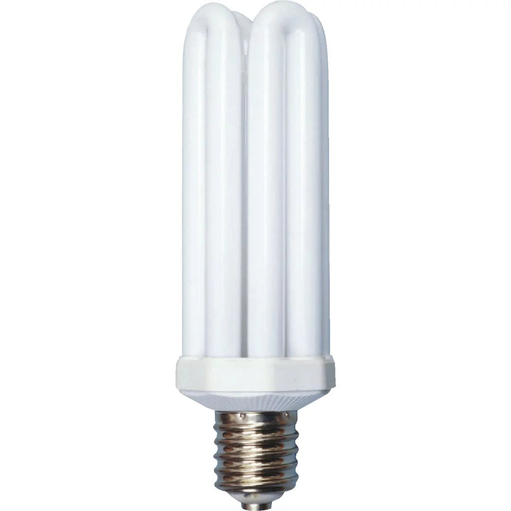 300W Equivalent Daylight Mogul Base CFL Light Bulb F764824